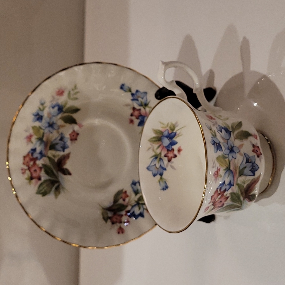 Royal Albert bone China teacup and saucer made in England
